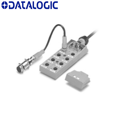 Zapatilla 8 Conector M12 KB8DP